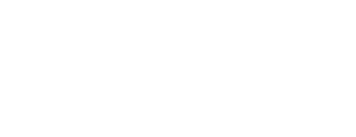 Trademark logo WAIYS Trademark slogan We AI the Future